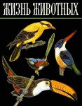 Жизнь животных. Энциклопедия. В 6 томах (7 книгах). Том 5. Птицы
